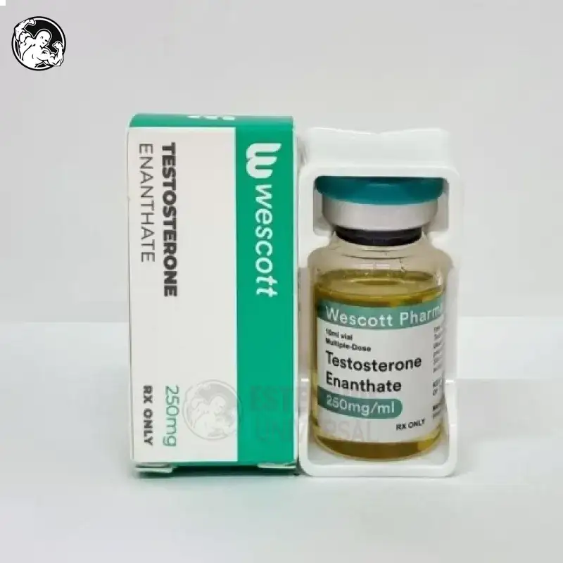 TESTOSTERONA ENANTATO 250 MG WESCOTT