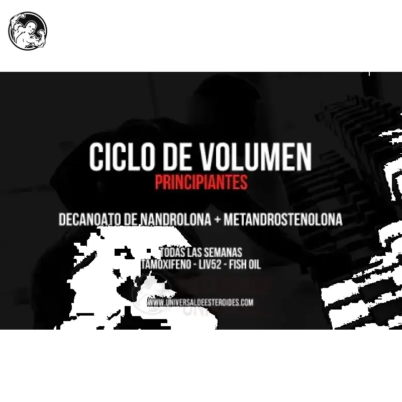 CICLOS