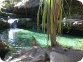 madagascar