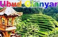 TANAH MURAH DI BALI, jual TANAH MURAH DI UBUD, TANAH MURAH DI UBUD, TANAH DIJUAL DI UBUD Bali, tanah dijual murah di Bali, JUAL TANAH DI UBUD Bali