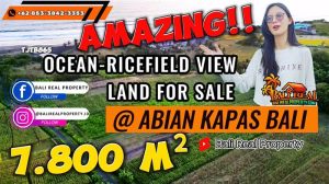 JUAL MURAH TANAH di TABANAN BALI 78 Are View sawah, laut dan gunung, tepi sungai dekat pantai