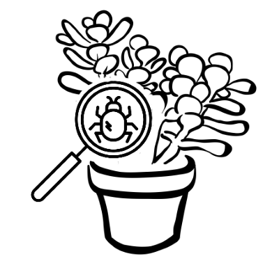 bolezni
